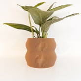 “The Nuanced” flowerpot